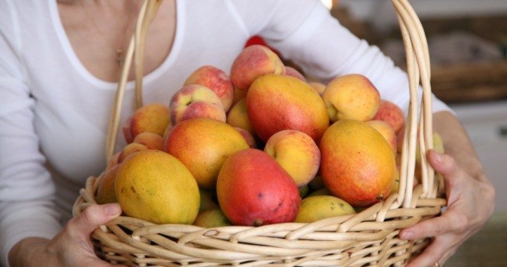 Mango Peach Fruit Lavash